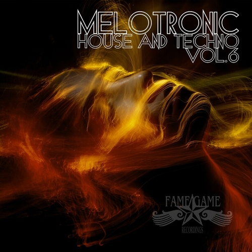 VA - Melotronic House and Techno, Vol. 6 [FGR402DD1]